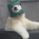 nightstars.'s avatar