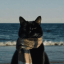 bennyscripts's avatar