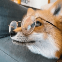 vulpesdoctus's avatar
