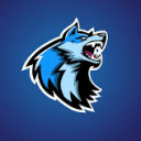 Wolf Go's avatar