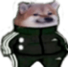 MU_Turtleswag