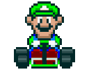 MARIOKARTluigi