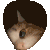 GTATRkittypeak