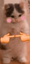 kittyuwushy
