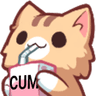 cumjuice