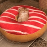 kitdonut