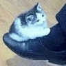 kitshoe