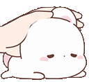 bunnypet