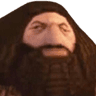 5132ps1hagrid