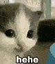 MU_nothehe