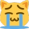 happy_cry_cat