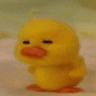 Hmm_Duck