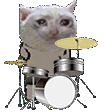 cat_drummer