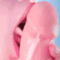 bimbolick