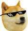 DogeGlasses