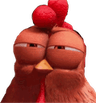 chickenstare