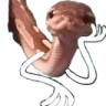 snek_hmm