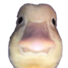 709956034898165842
