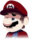 5425marioconfused