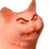 Cat_Angry