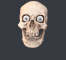 skule