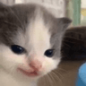 emoji_206