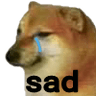 saddoge