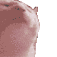 yes