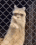 emoji_329