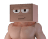 chadtopian