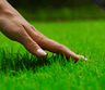 touchgrass