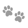 1GrayPawPrints