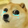 sqhsad_doge