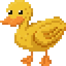 duck