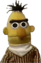 bertstareface