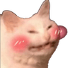 1650725821965