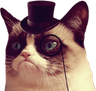 2524grumpycattophat