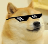 2570_DogeSwag