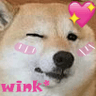 2942_dog_wink