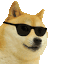 3637cooldoge