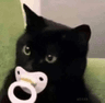 cat_bby