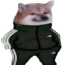 5530adidasdoge