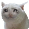 emoji_128