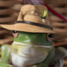 froge_what
