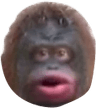 monke