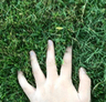 touchinggrass