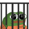 pepe_jail