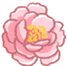 A_PinkFlower