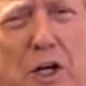 trump2