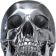 980831358874169364